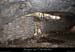 20081228_baumesserredetourre1_13
