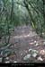20090413_serredetourresentier