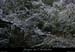 20061227_combevanmalle1