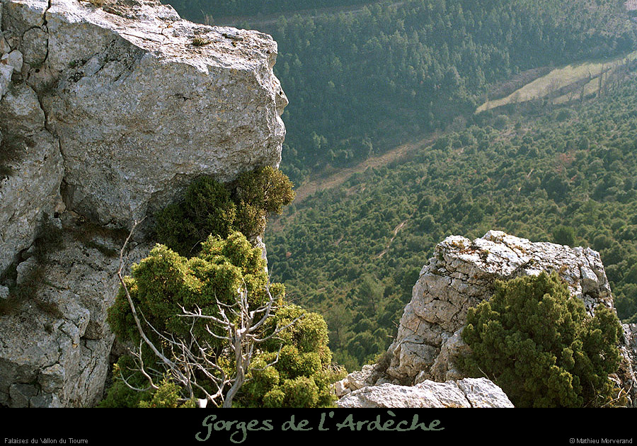 20010212_falaisetiourre11