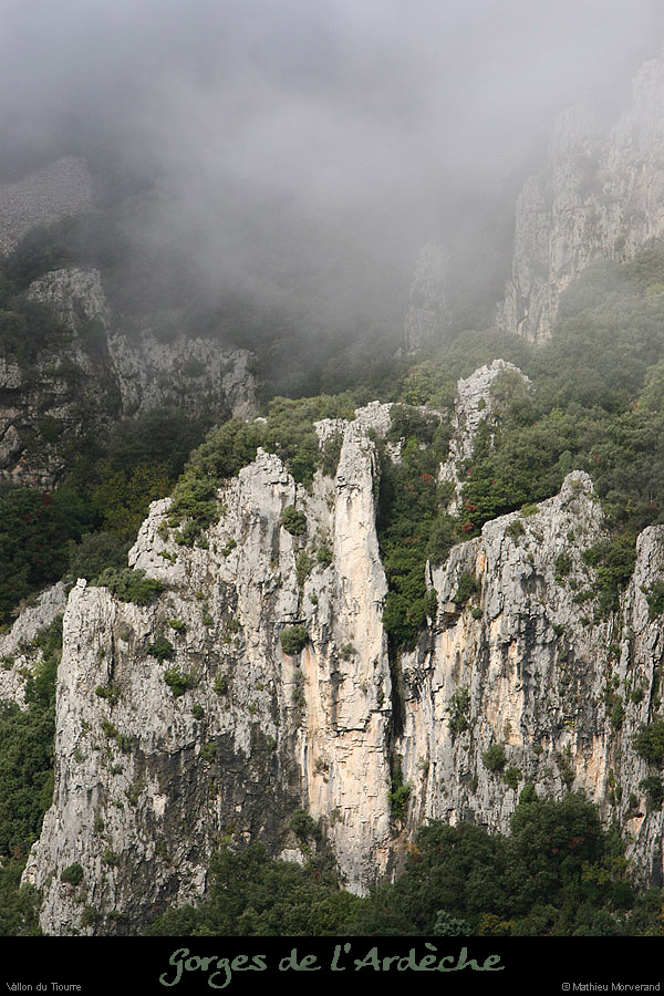 20051023_falaisetiourre