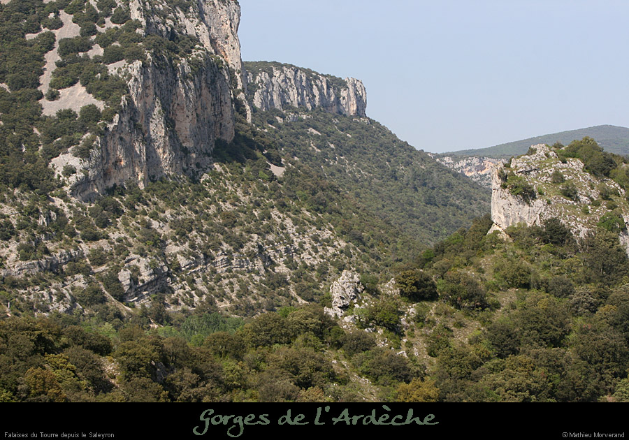 20080508_falaisetiourredebasfarre1