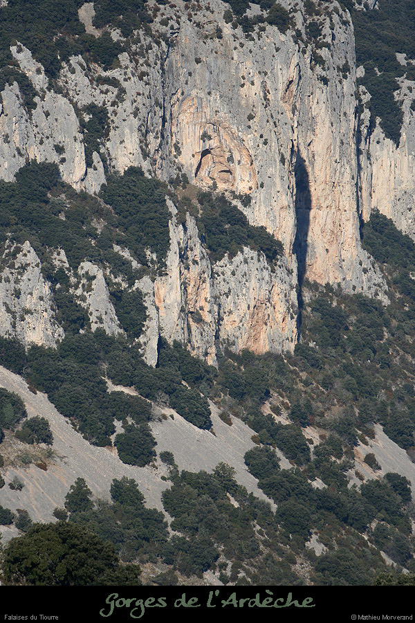 20081227_tiourredesaleyron2