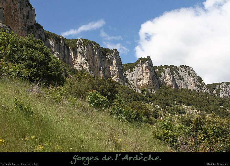 20130522_vallontiourre_falaisesnorddusentier2