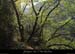 20120414_falaisesserredetourre_vire3