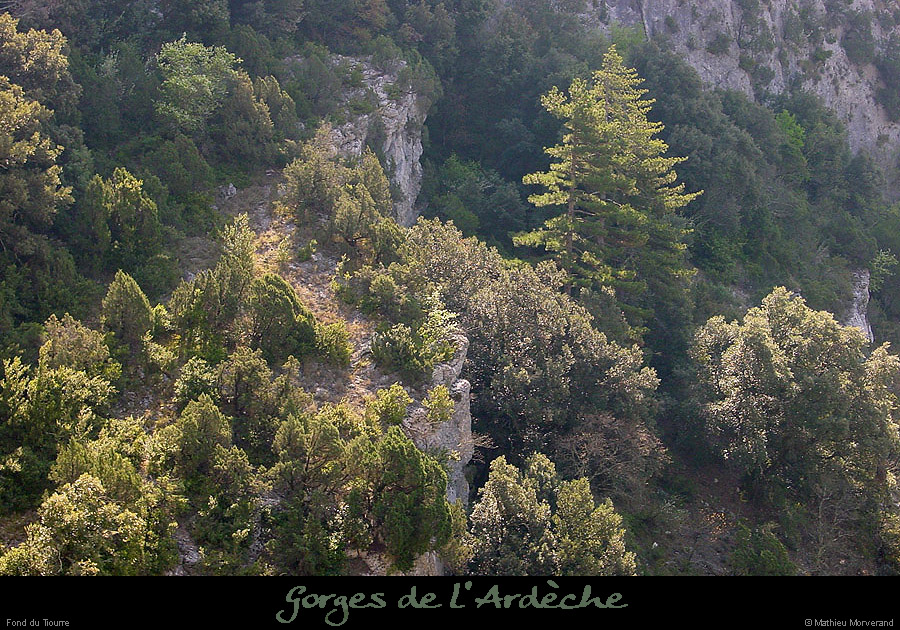 20020331_fdtiourre2