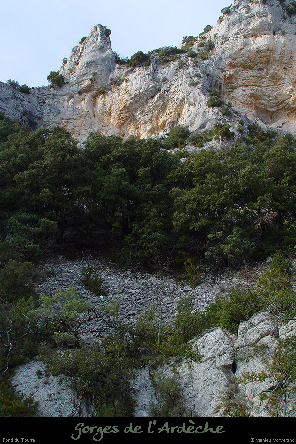 20030329_fdtiourre04