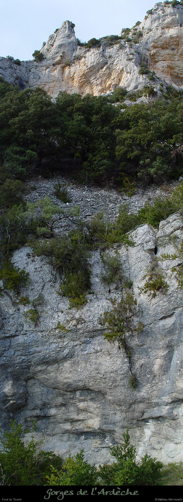 20030329_fdtiourre05