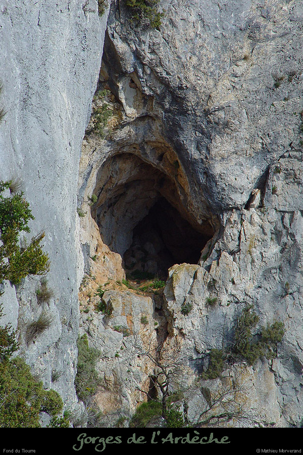 20030329_fdtiourre06