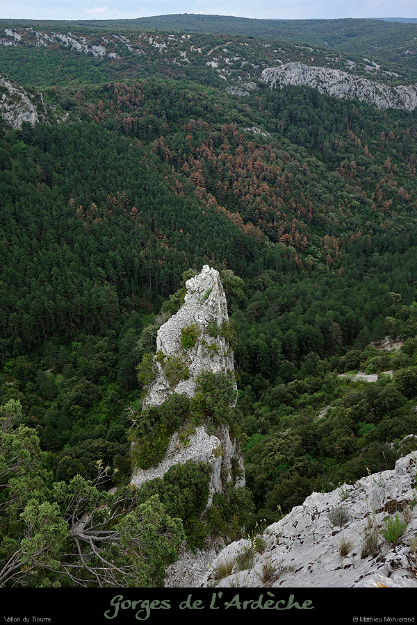 20180508_vtiourrefond03