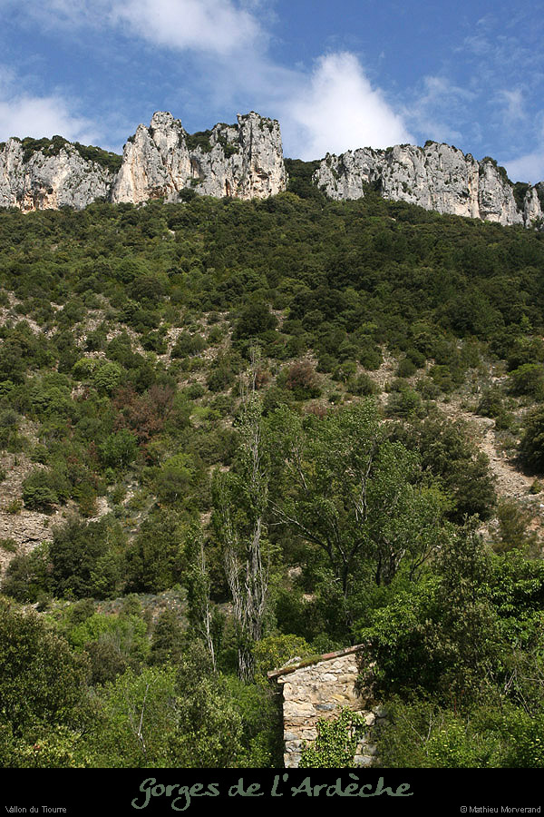 20100513_vallontiourre2