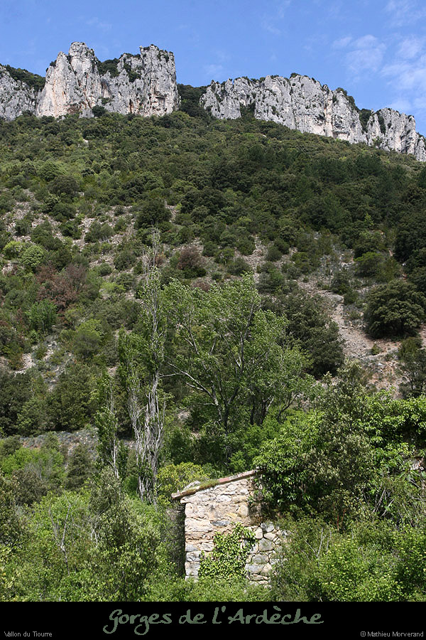 20100513_vallontiourre5