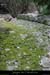 20030329_srctiourre1