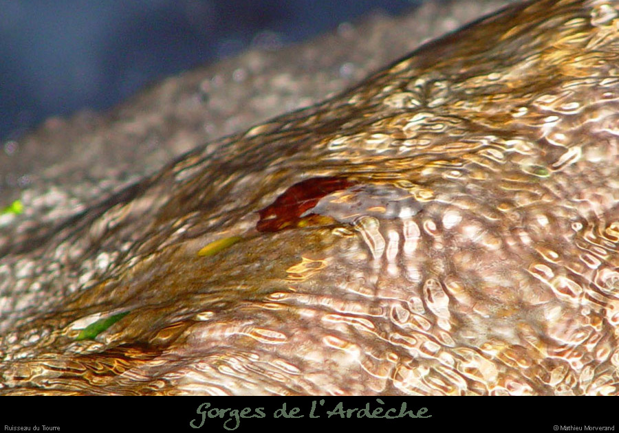 20021228_rutiourre3