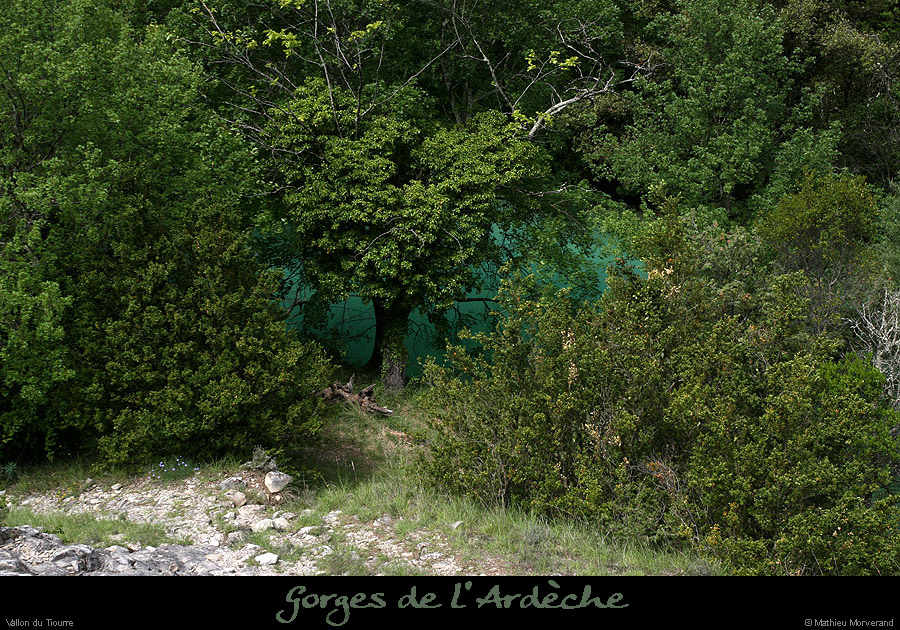 20100513_vallontiourre_lagonruine2