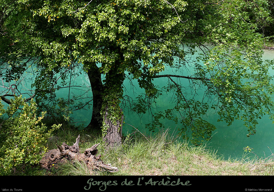 20100513_vallontiourre_lagonruine3