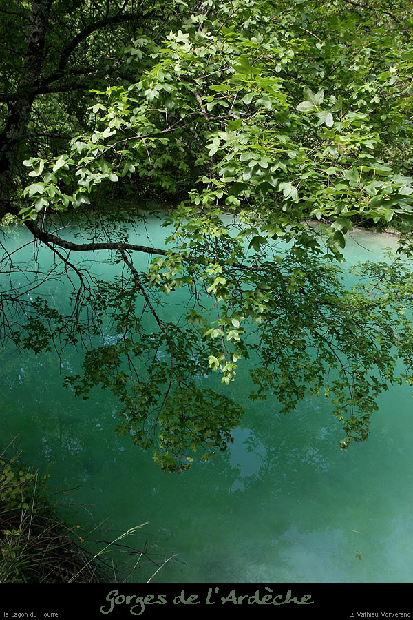 20100513_vallontiourre_lagonruine5
