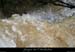 20080601_tiourreruisseau6