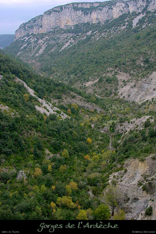 20001105_vtiourre2