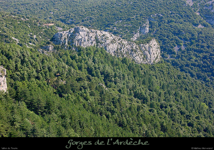 20010810_vtiourre2