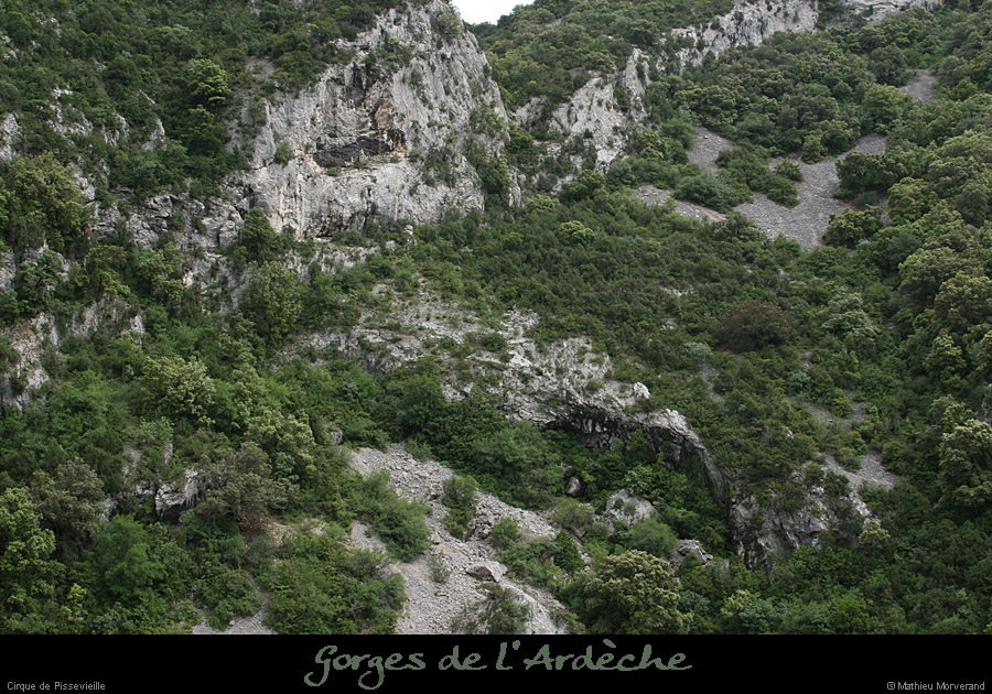 20080601_pissevieillecirque