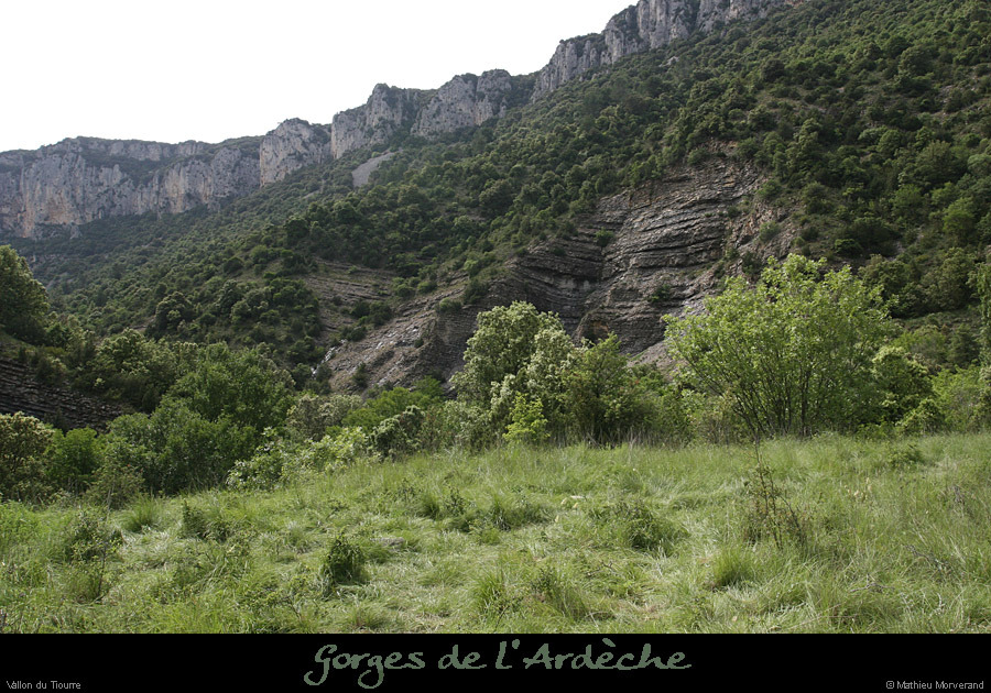20080601_tiourrevallon2