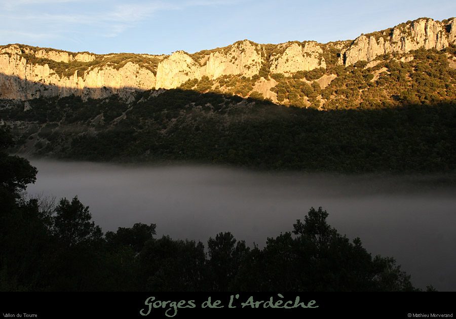 20101113_vallontiourre01