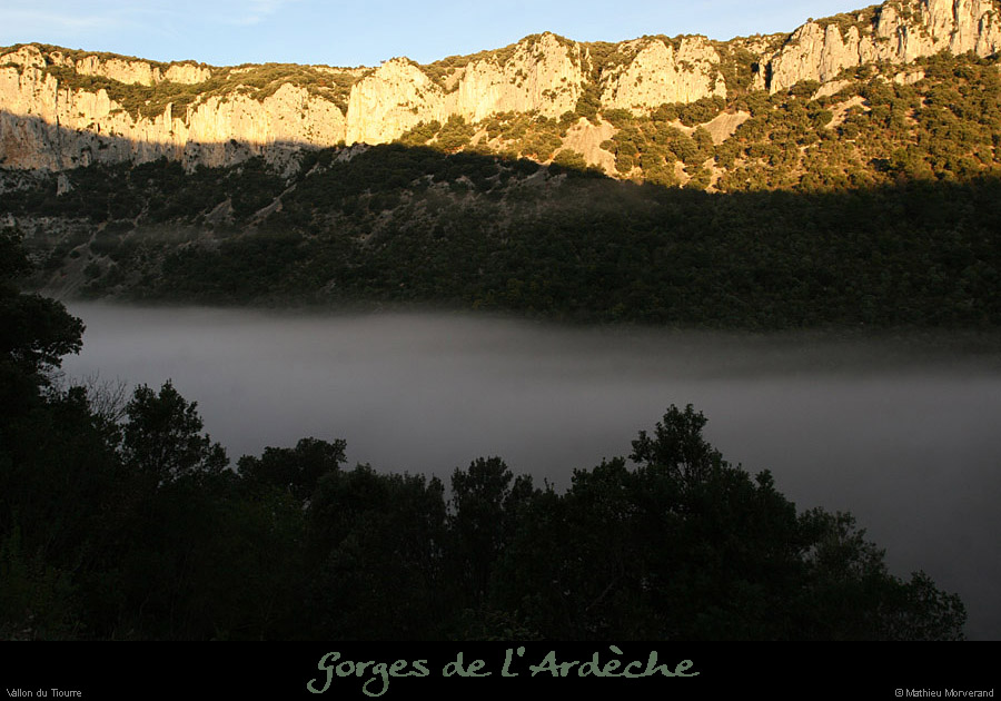 20101113_vallontiourre02