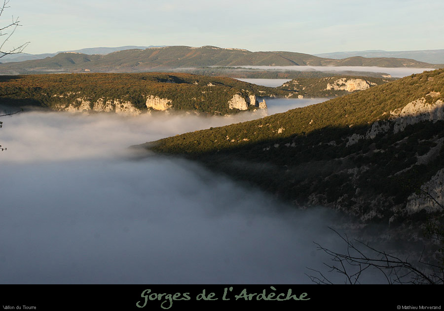 20101113_vallontiourre09