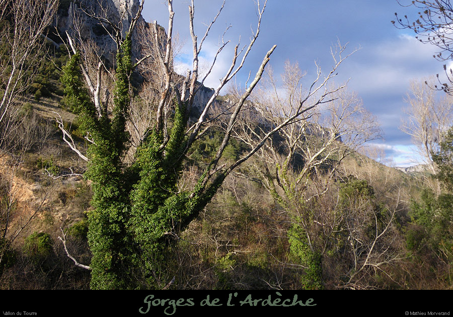 20110227_vallondutiourreparlaval2
