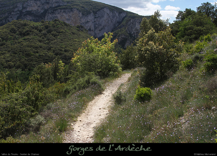 20130522_vallontiourre_sentier3