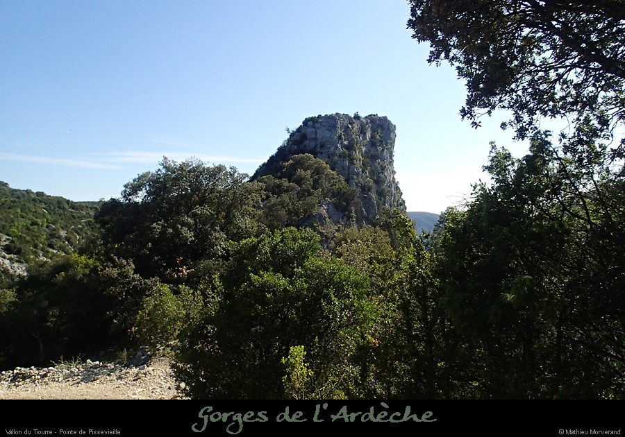 20160516_tiourreptepissevielle