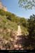 20120524_vallontiourre_sentier2