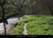 20130407_prairiesssbaumesdelafarre2