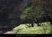 20130407_prairiesssbaumesdelafarre3