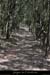20130407_sentiergorges_plainecharmassonnet