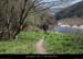 20130407_sentiergorges_ssbaumesdelafarre1