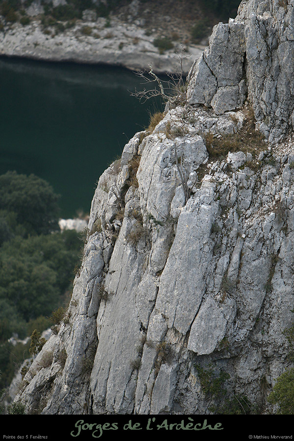 20081228_pte5fenetres4