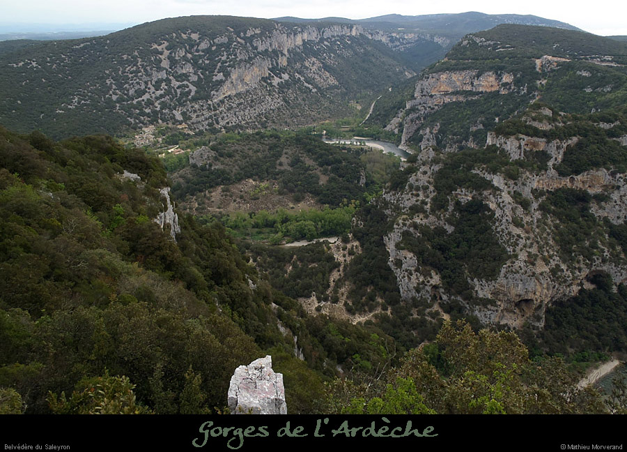 20120415_tiourredepuisbelvsaleyron