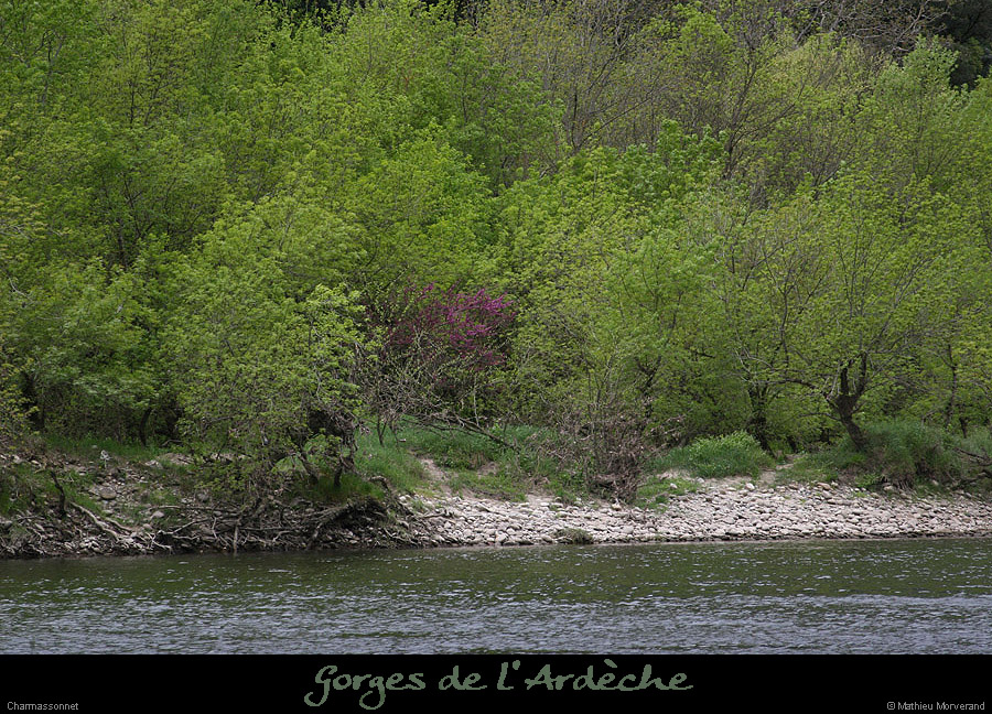 20130421_riveavfarredepuischarmassonnet2