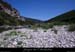 20090813_farreplagegalets1
