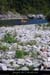20090813_farreplagegalets3