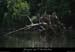 20110421_charmassonnet_rivesud1
