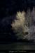 20130407_charmassonnet_rivedelasouche