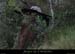 20130421_charmasson_batisse_ruches