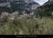 20130421_pentescharmasson_thym