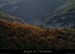20141207_pentescharmassonnet2