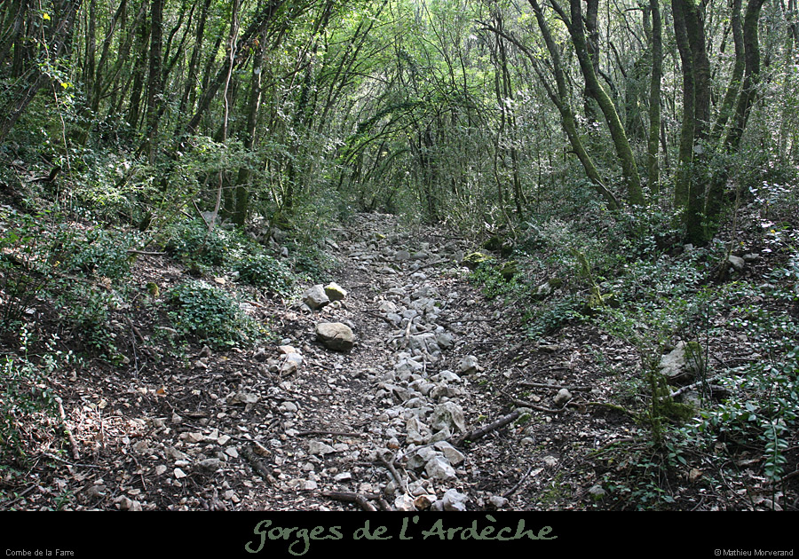 20080508_combedelafarre1