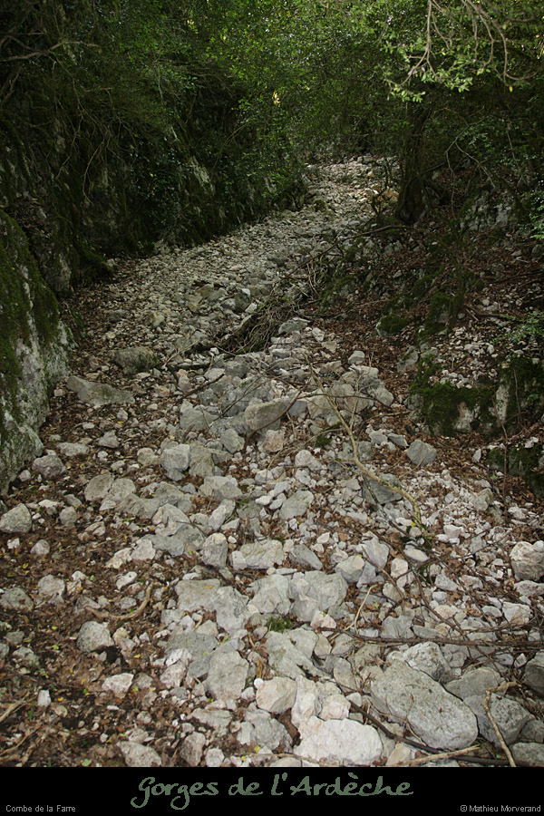20080508_combedelafarre6