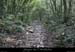 20080508_combedelafarre1